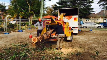 emergency tree removal lower Portland