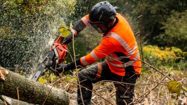 tree removal Sydney services