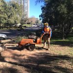 land clearing Sydney