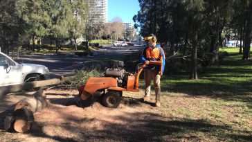 land clearing Sydney