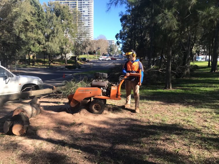 land clearing Sydney