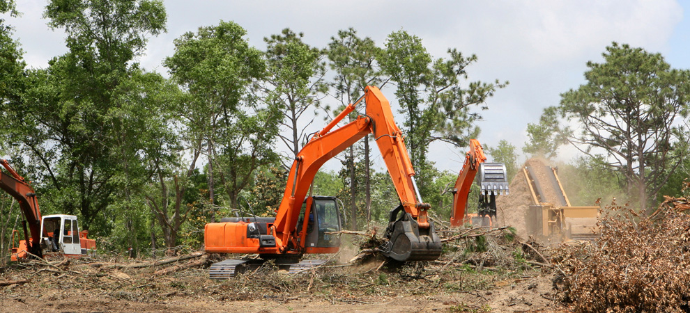 land clearing Ashbury experts