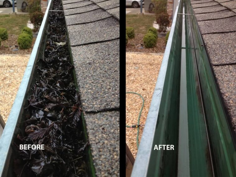 gutter cleaning Chatswood