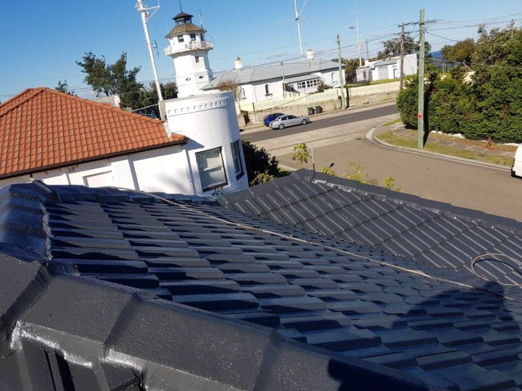 roof cleaning service in Sydney