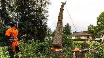 OUTBACK TO COASTAL TREE SERVICES