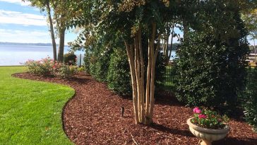 tree mulching services Sydney