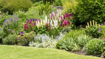 sydney-gardening-services